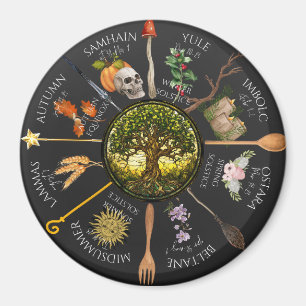 Imã Roda Mágica do Ano