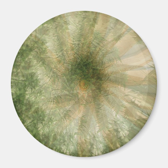 Imã Roda Selva.... (Frente)