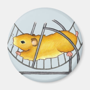 Imã Roda Ted do hamster