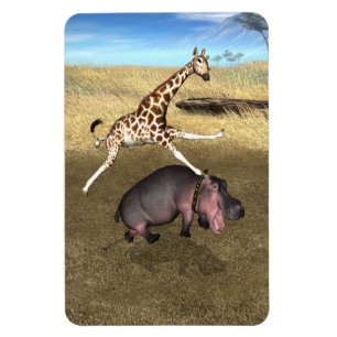 Ímã Rodeo Hippo