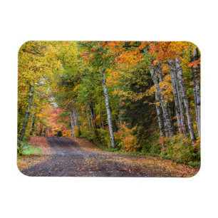Ímã Rodovia Gravel De Folha Com Cor De Outono
