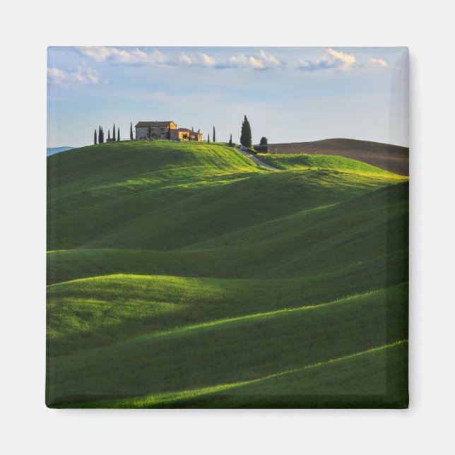 Imã Rolling Hill Perto de Asciano, Toscana (Frente)