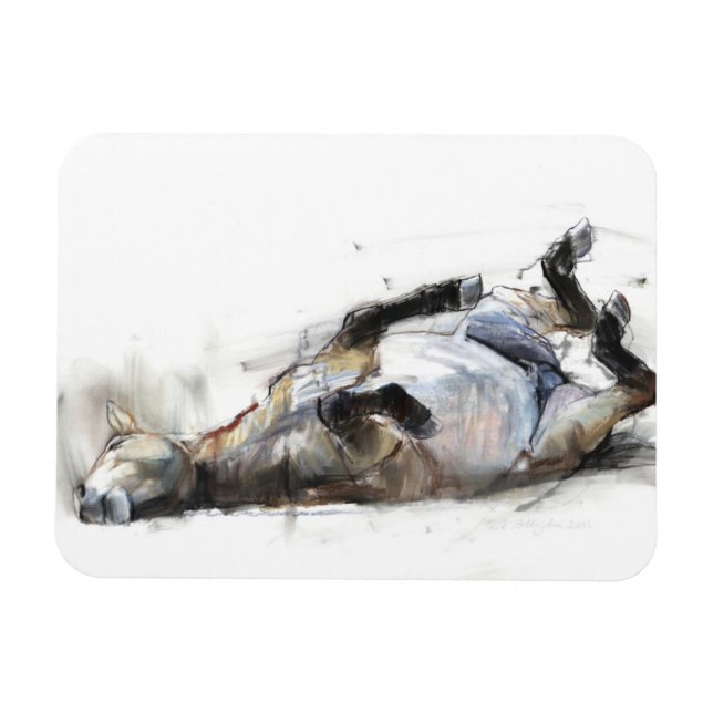 Ímã Rolling Rolling Rolling 2011 (Horizontal)