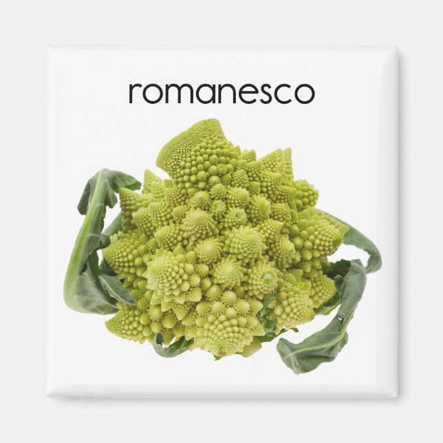 Imã Romanesco Refrigerador Magnet (Frente)