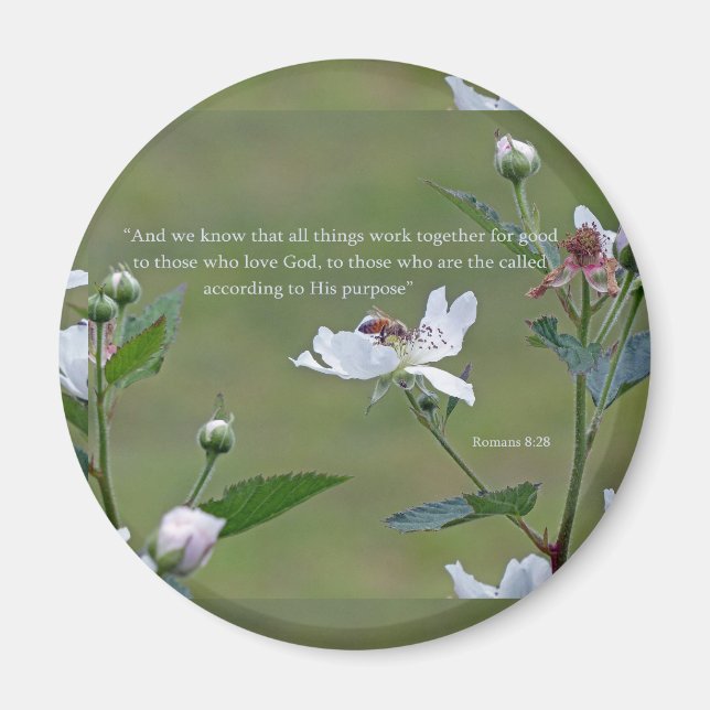 Imã Romanos 8:28 (Frente)