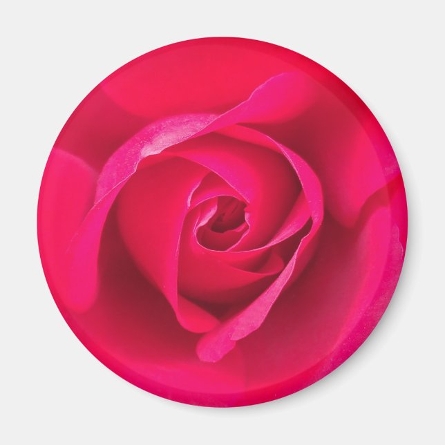 Imã Romântico Rosa Vermelho Rosa v2 (Frente)