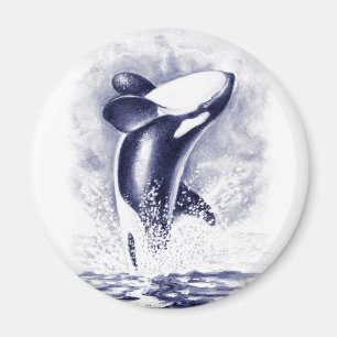 Imã Rompimento da orca