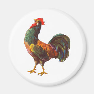 Imã Rooster Vintage Cochen Arte