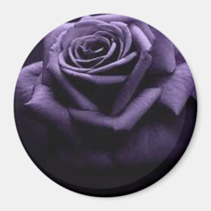 IMÃ ROSA