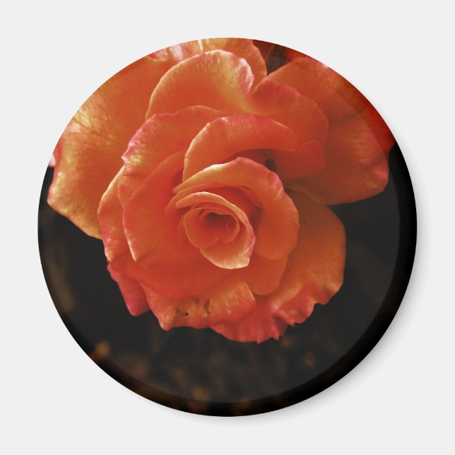 Imã Rosa (Frente)