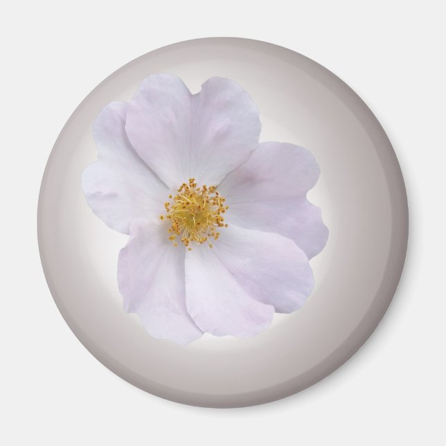 Imã rosa a roxo (Frente)