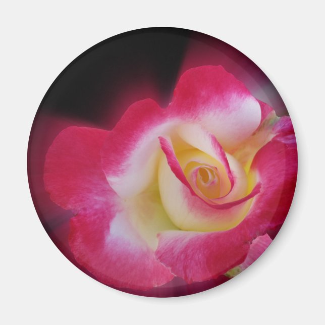 Imã rosa amarela (Frente)
