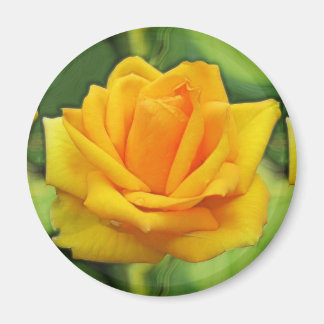 Imã Rosa Amarela