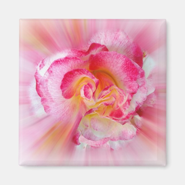 Imã rosa amarela (Frente)