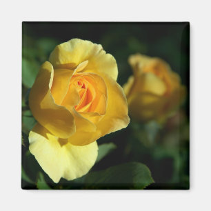 Imã Rosa Amarela Floral