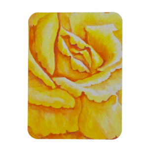 Ímã Rosa amarelo