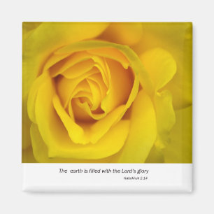 Imã Rosa amarelo