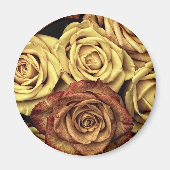 Imã Rosa amarelo e vermelho (Frente)