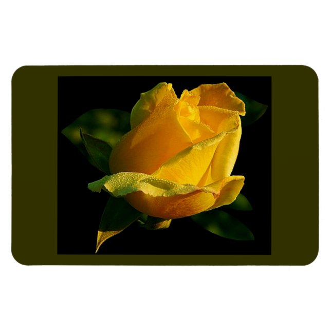 Ímã Rosa Amarelo Grande (Horizontal)