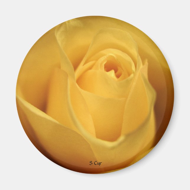 Imã Rosa Amarelo, S Cyr (Frente)