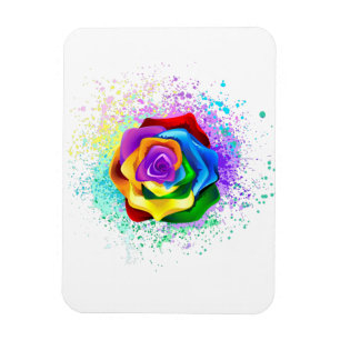 Ímã Rosa Arco-Íris Colorida
