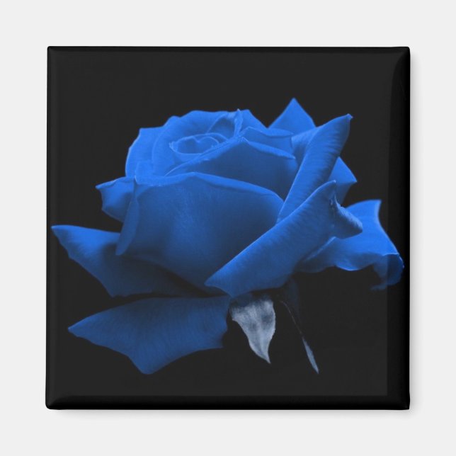 Imã Rosa azul (Frente)
