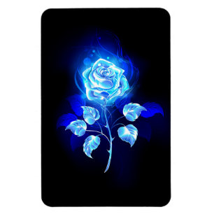 Ímã Rosa Azul Ardente