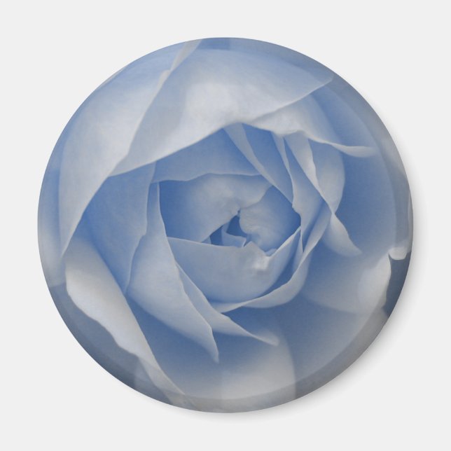Imã Rosa azul solteiro (Frente)