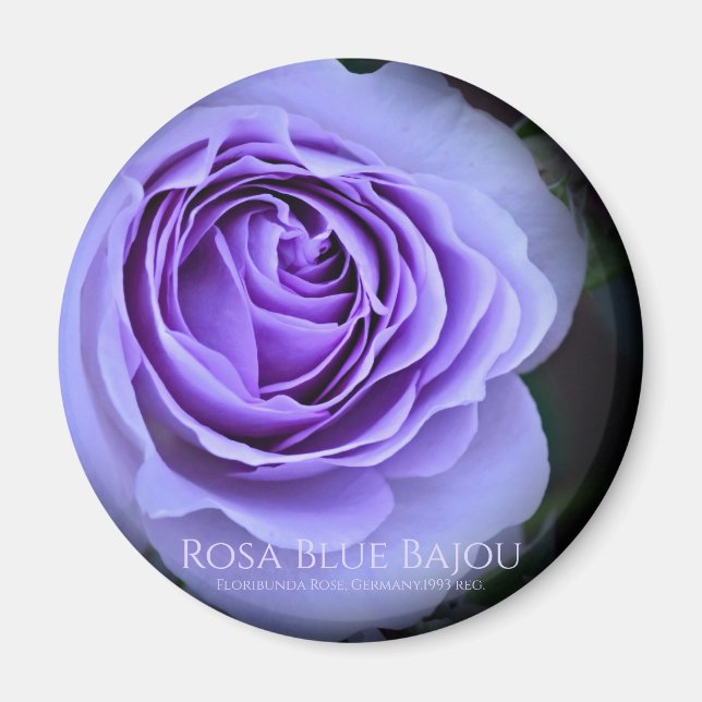 Imã Rosa Blue Bajou (Frente)