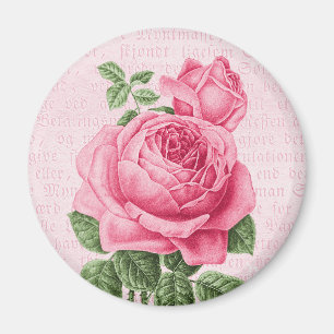 Imã Rosa bonito do rosa do vintage