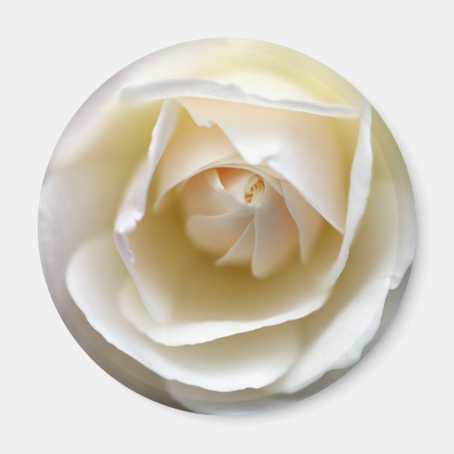 Imã Rosa branca (Frente)