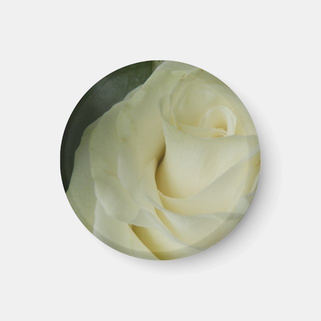 Imã Rosa branca (Frente)