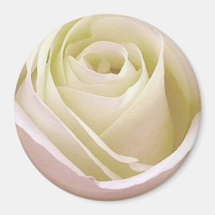 Imã Rosa Branca de Noiva