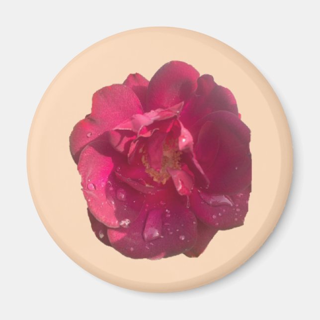 IMÃ ROSA D (Frente)