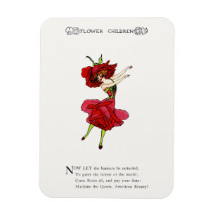 Ímã Rosa de Beleza Americana, Arte do Livro de Flores