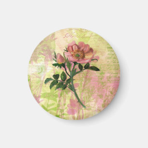 Imã Rosa de Cães