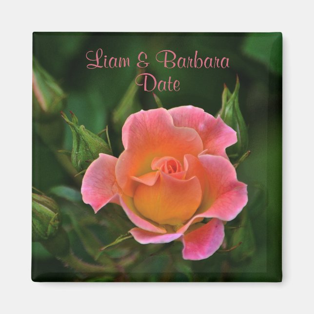 Imã Rosa de Casamento Pink de Peachy (Frente)