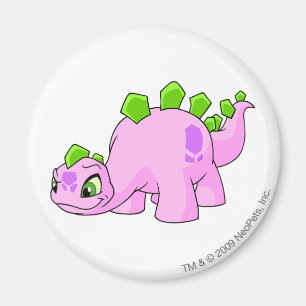 Imã Rosa de Chomby