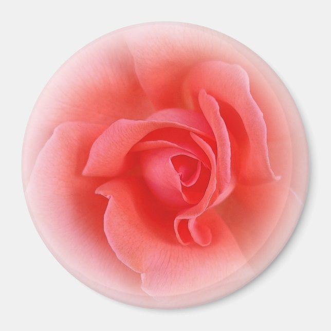 Imã rosa de coral rosa (Frente)