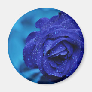 Imã Rosa de Dewdrop Azul