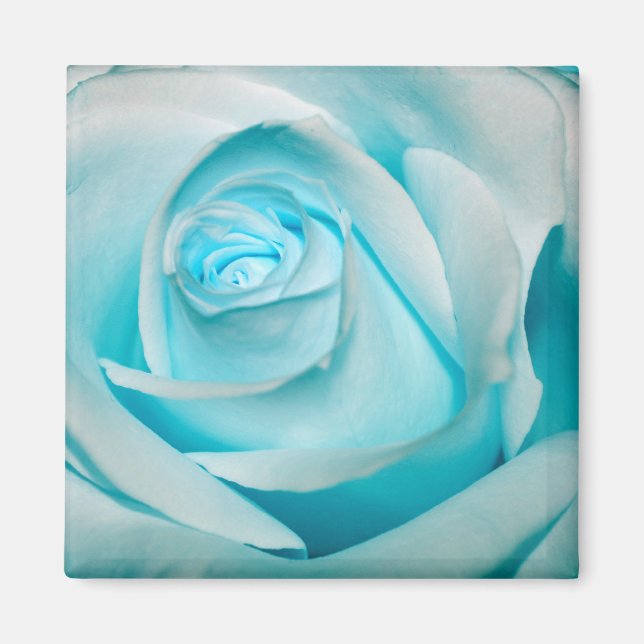 Imã Rosa de gelo turquesa (Frente)