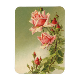 Ímã Rosa de jardim rosa vintage do Dia dos Namorados v