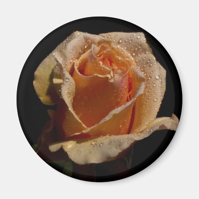 Imã Rosa de laranja 1 (Frente)