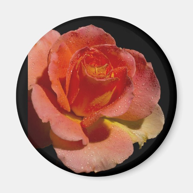 Imã Rosa de laranja 2 (Frente)