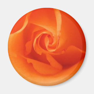 Imã Rosa de Laranja Brilhante