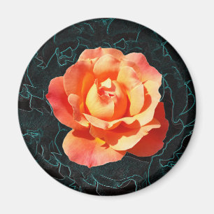 Imã Rosa de laranja claro
