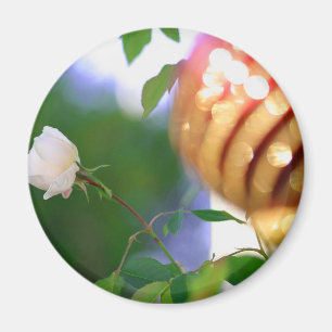 Imã Rosa de Natal Branco