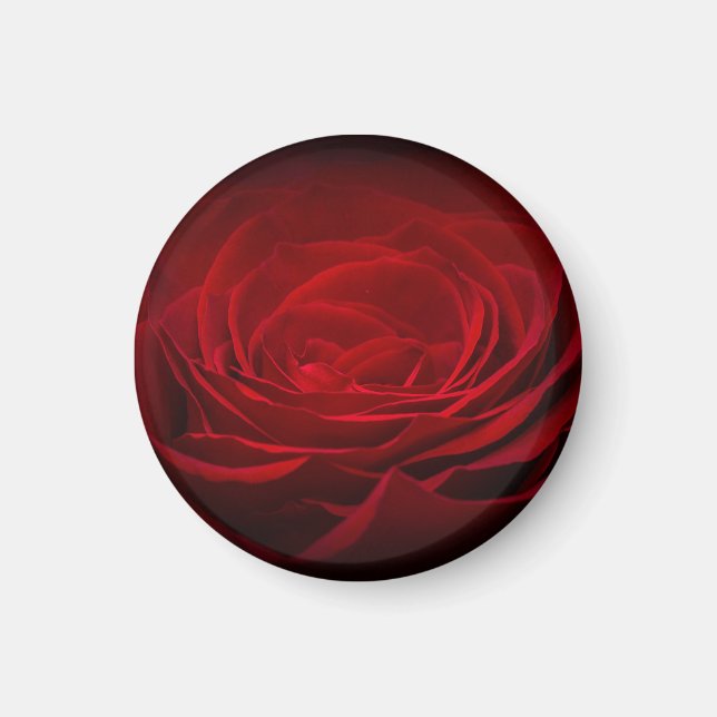 Imã Rosa de Sangue Vermelho Profundo em Preto (Frente)