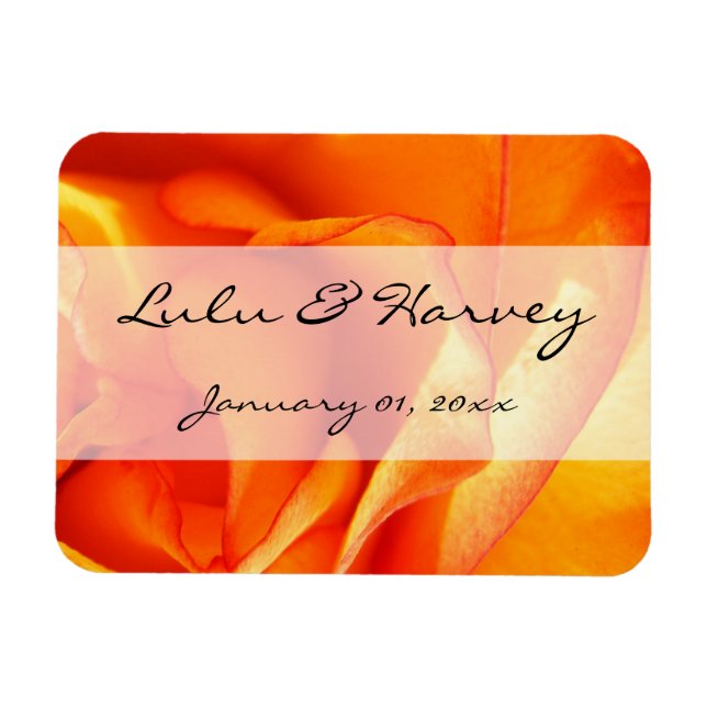 Ímã Rosa de sinalização (Horizontal)