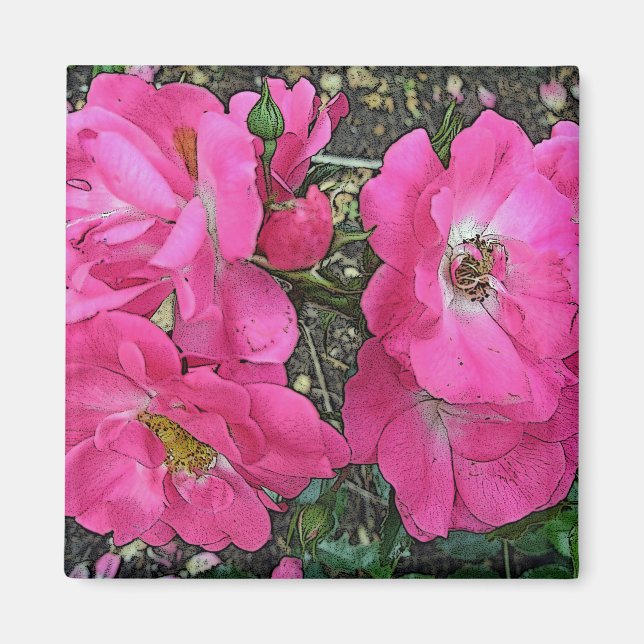 Imã Rosa de subida rosa (Frente)